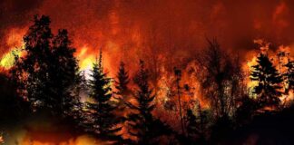The Human Spark Behind California's Infernos