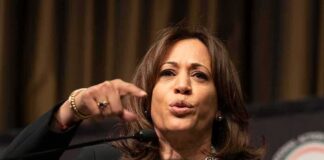 Elon Musk Probes Claims Against Kamala Harris in Social Media Scandal