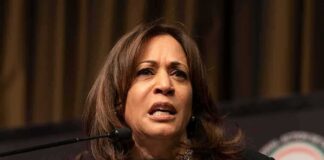 Harris's 2024 Campaign Faces Financial and Political Hurdles