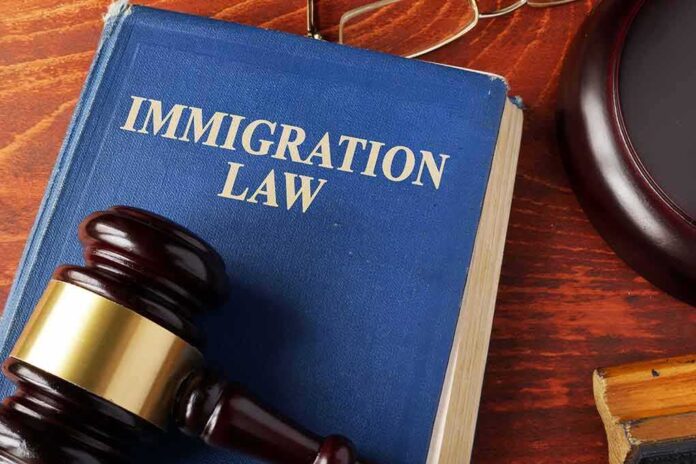 525426433 featured image Blue immigration law book with wooden gavel.