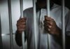 Person holding jail cell bars tightly