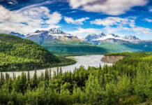 River winding through forest with mountains in background