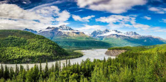 River winding through forest with mountains in background