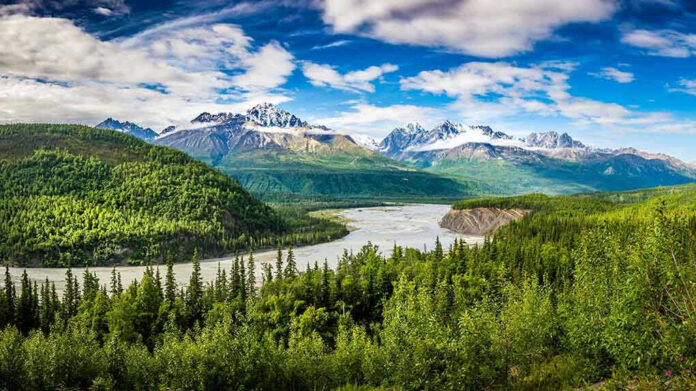 1232474224 River winding through forest with mountains in background
