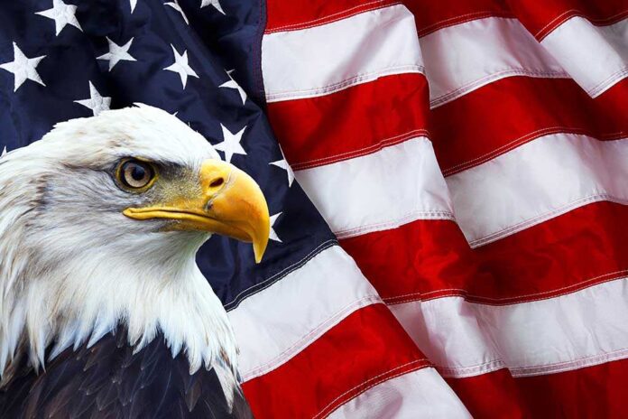 244441918 featured image Bald eagle in front of American flag