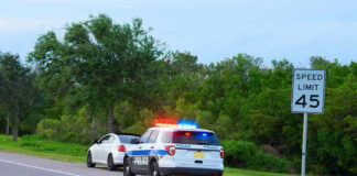 Cop Shoved, Cruiser Stolen: HIGH SPEED DRAMA Police car pulling over a white car