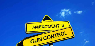 Yellow signs reading Amendment II and Gun Control.