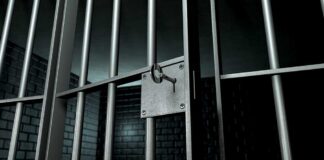 Close-up of a locked prison gate with metal bars