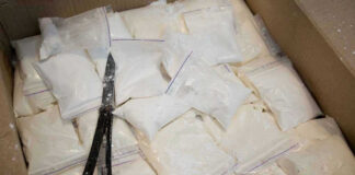 MASSIVE Cocaine Haul – LARGEST EVER! Bags of white powder with scissors in cardboard box.