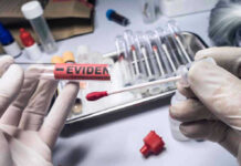 Gloved hands holding evidence swab in laboratory.