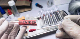 Gloved hands holding evidence swab in laboratory.
