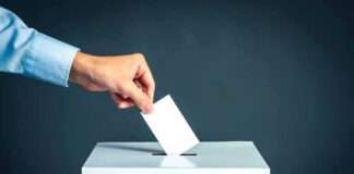 Vile Reddit Blast Roils Maine Senate Race Hand placing ballot into voting box.