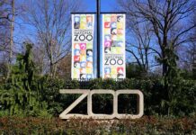 World Cup Zoo “Oracles” Go Viral, But Results Unverified Zoo entrance sign with banners among trees and shrubs
