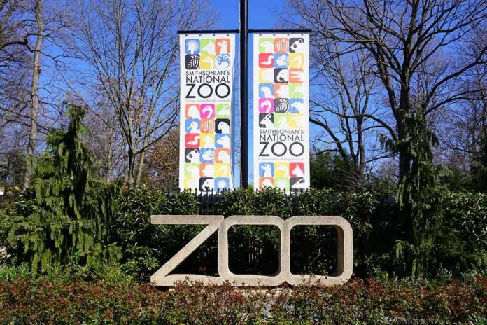 shutterstock_1663908133-1- Zoo entrance sign with banners among trees and shrubs