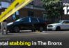 One-Year-Old Survives Five-Story Plunge 46-year-old man stabbed to death in The Bronx