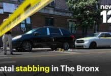 One-Year-Old Survives Five-Story Plunge 46-year-old man stabbed to death in The Bronx