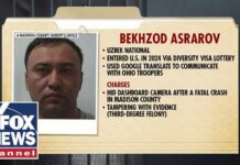 Fraud, Fake Records, and Commercial Licenses OUTRAGE over deadly commercial truck crash: ‘This REEKS of fraud’