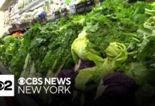 Lettuce Tied To Diarrhea Outbreak Lettuce from Mexico used by Taco Bell possible cause of cyclosporiasis, source says