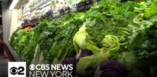 Lettuce from Mexico used by Taco Bell possible cause of cyclosporiasis, source says