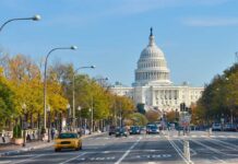 View of the Capitol building in Washington D.C. with autumn trees lining the street