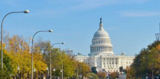 View of the Capitol building in Washington D.C. with autumn trees lining the street