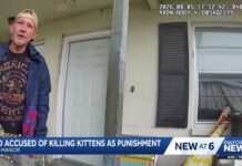 Florida Father Accused of Killing Kittens to Punish Daughter Florida man accused of abusing, killing multiple family-owned cats