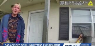 Florida man accused of abusing, killing multiple family-owned cats