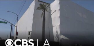 45 Days Later, Boyle Heights Is Still Living With the Stench Lineage will not meet cleanup deadline for Boyle Heights warehouse, mayor says