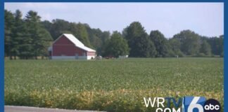 Reports of lions loose in Madison and Hancock counties in Indiana