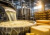 How Cheese Is Really Made ? | Factory Secrets Revealed