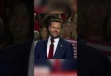 JD Vance fires back at protester waving Mexican flag: ‘I’ll buy you the plane ticket’