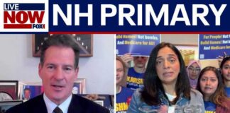 New Hampshire senate race: Big names take on newcomers