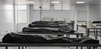 Mortuary room with covered bodies on metal gurneys