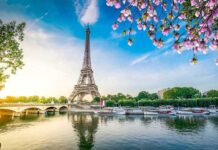 Eiffel Tower by the Seine with boats and spring blossoms