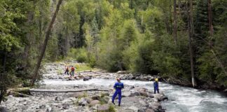 Rescue workers in helmets standing along a fast-flowing forest river