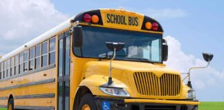 Horrifying Bus Ordeal Stuns Brooklyn Yellow school bus parked on pavement
